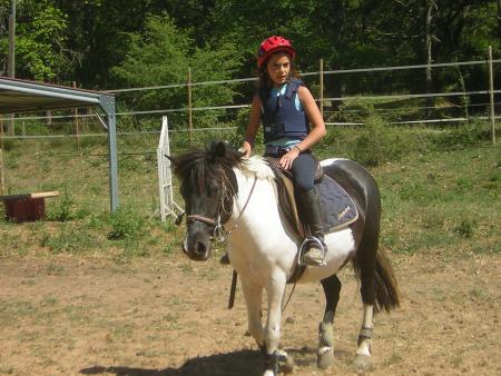  chipie te moi